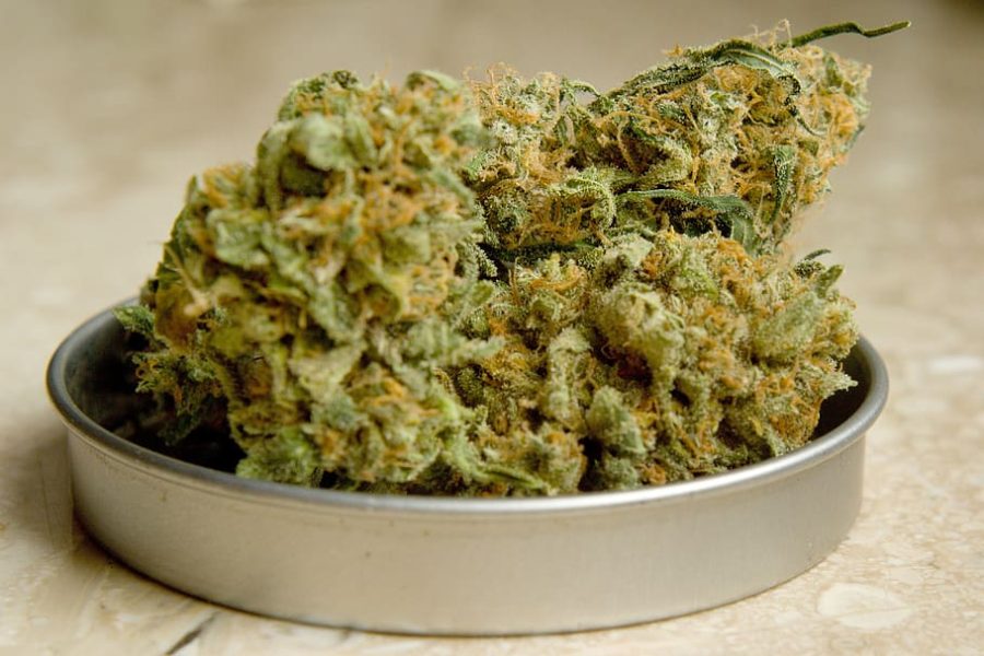 Why You Should Consider Ordering Weed from a Delivery Service
