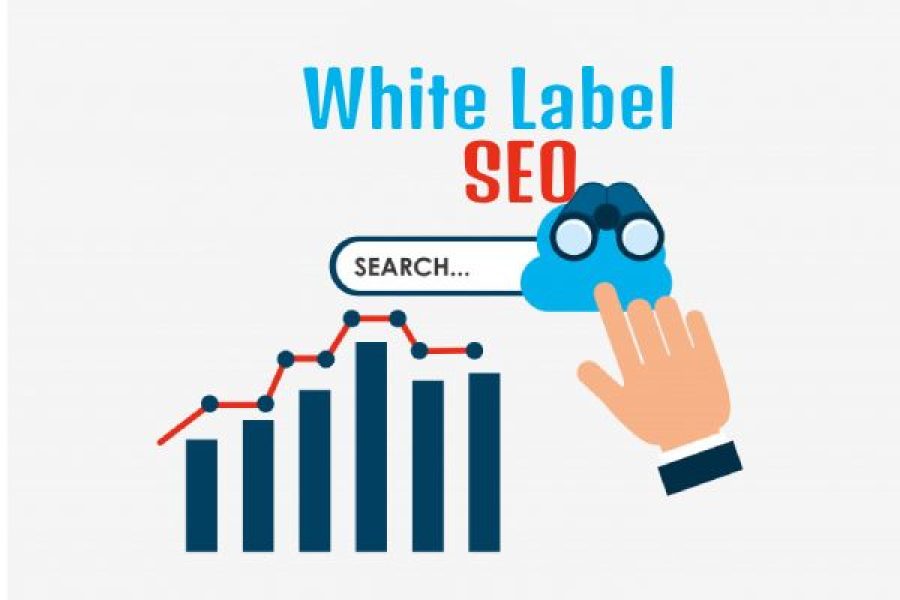 White label seo For Marketing and advertising Agencies