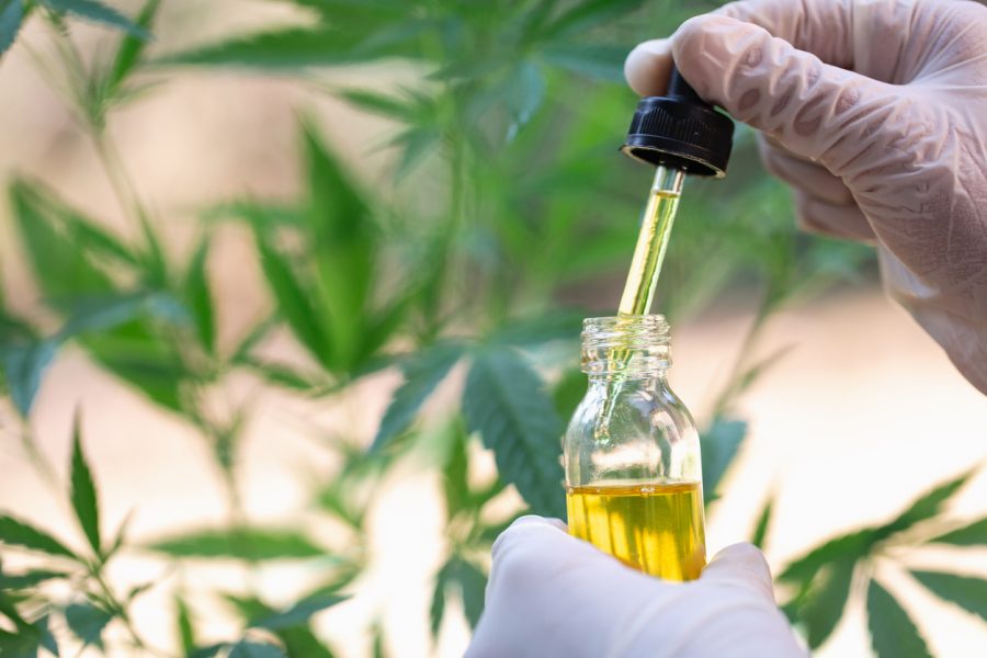 Best CBD Oils- Is A Solution To Many Diseases