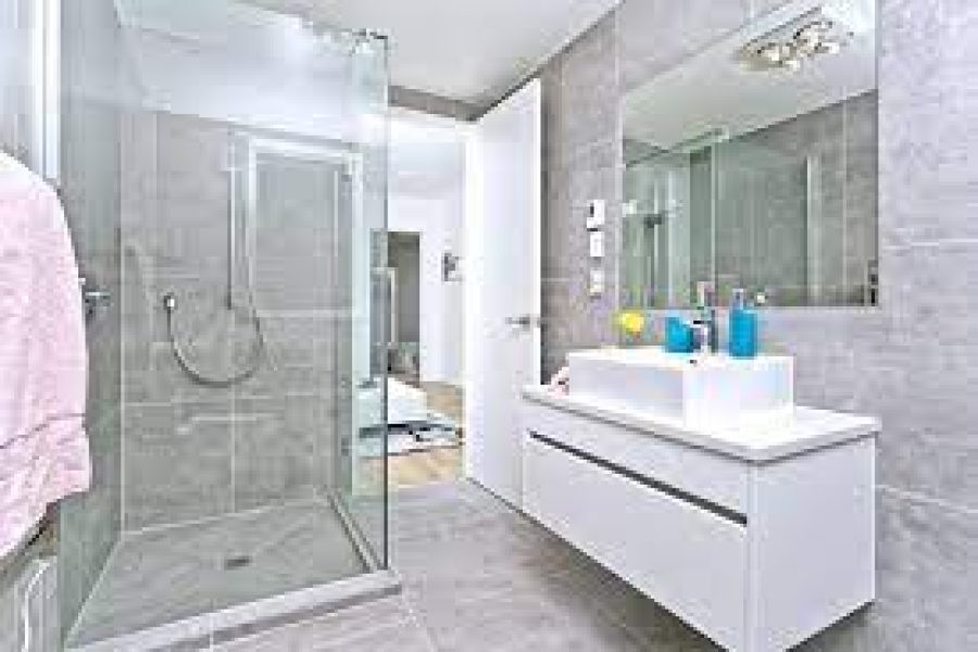 Bathroom Renovation Tips: Developing Your Dream Oasis